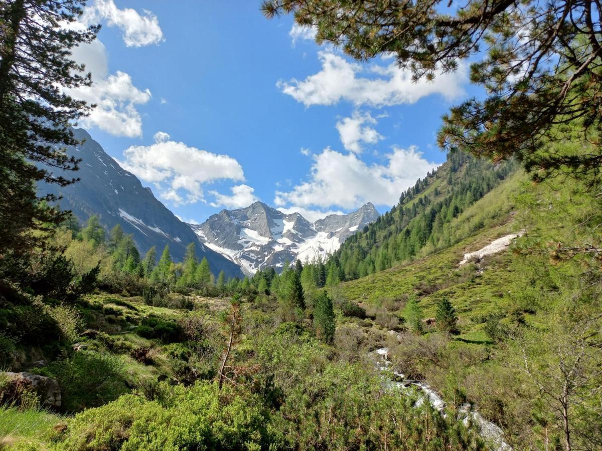 Appartement Summerer Peter Mayrhofen Buitenkant foto